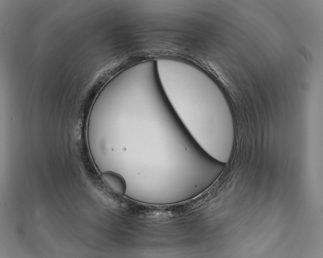 X0000110970543200906191113