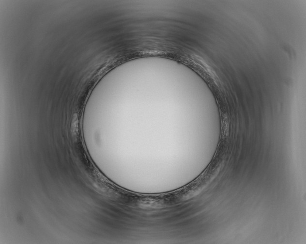X0000110970549200906191113