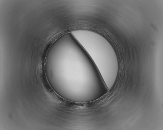 X0000110970552200906191113