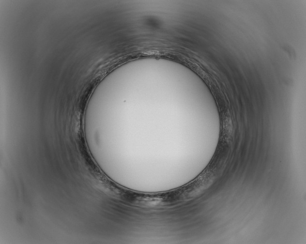 X0000110970554200906191113