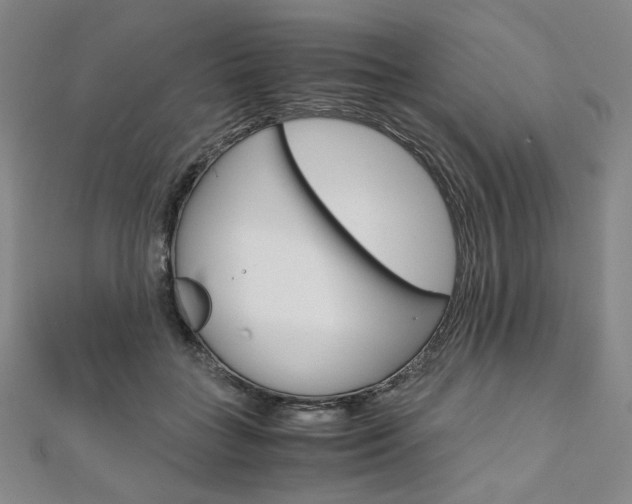 X0000110970555200906191113