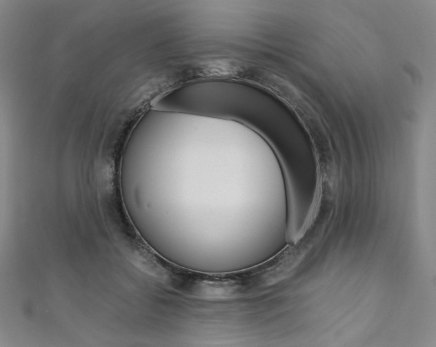 X0000110970556200906191113
