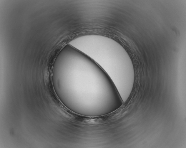X0000110970558200906191113