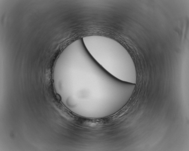 X0000110970563200906191113