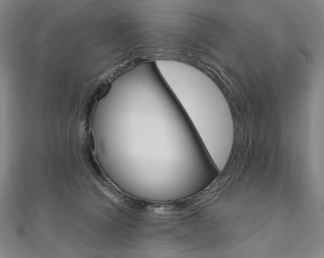 X0000110970564200906191113