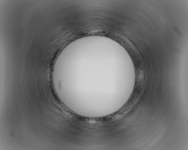 X0000110970565200906191113