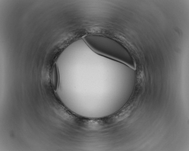 X0000110970566200906191113