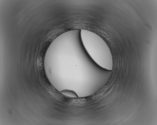 X0000110970571200906191113