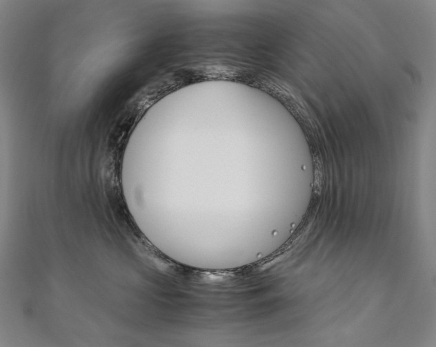 X0000110970573200906191113