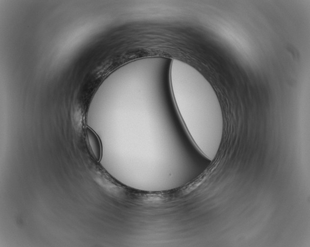 X0000110970574200906191113
