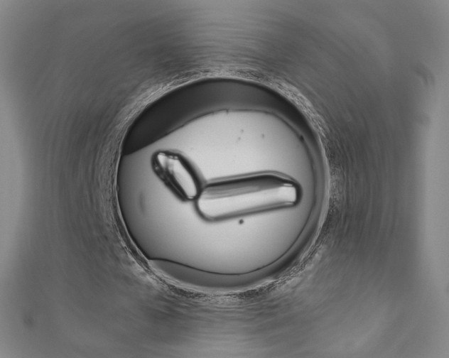 X0000110970577200906191113