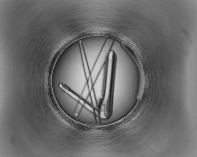 X0000110970581200906191113