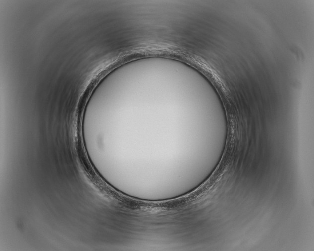 X0000110970582200906191113