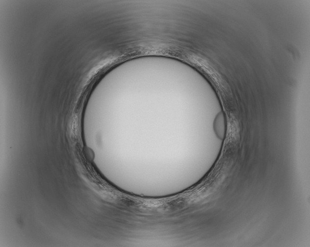 X0000110970583200906191113