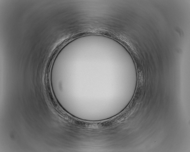 X0000110970587200906191113