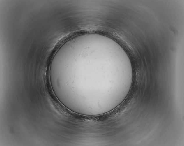 X0000110970592200906191112