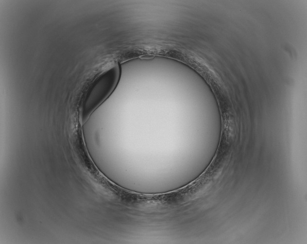 X0000110970593200906191112
