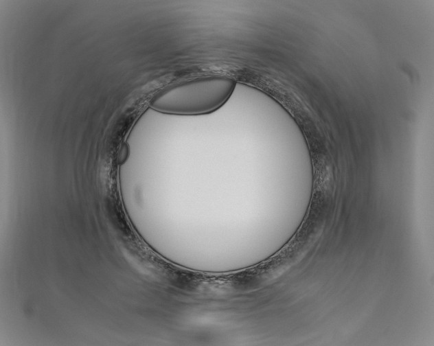 X0000110970599200906191112