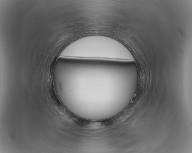 X0000110970609200906191112