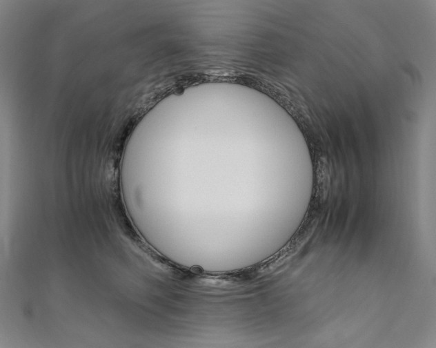 X0000110970614200906191112