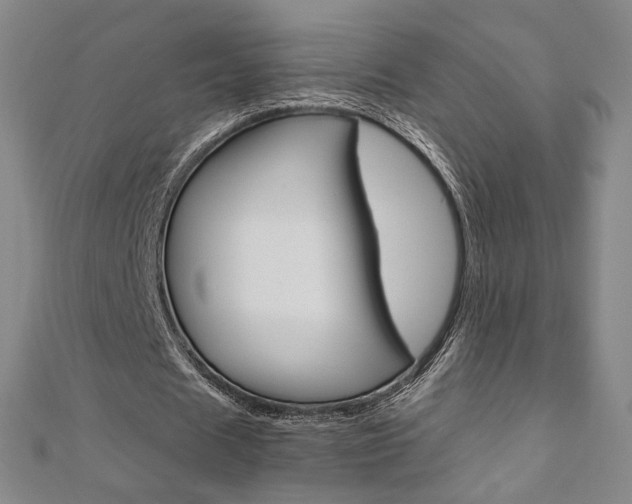 X0000110970625200906191111