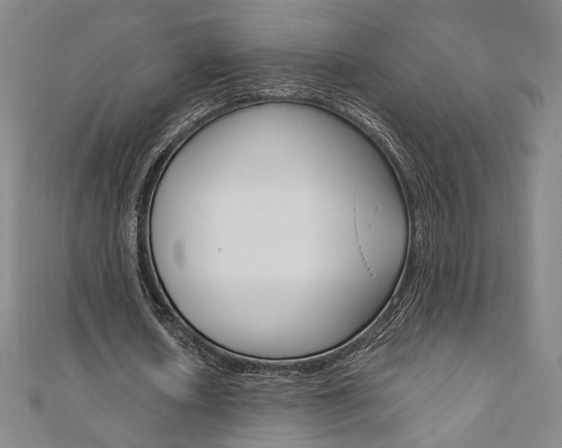X0000110970626200906191111