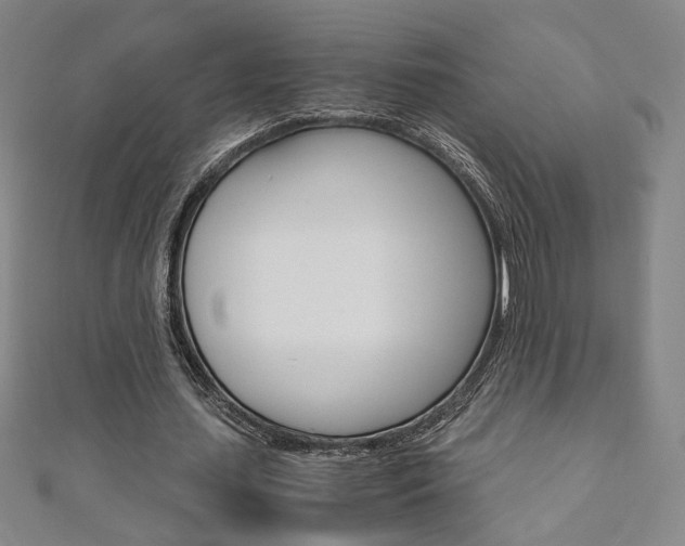 X0000110970627200906191111