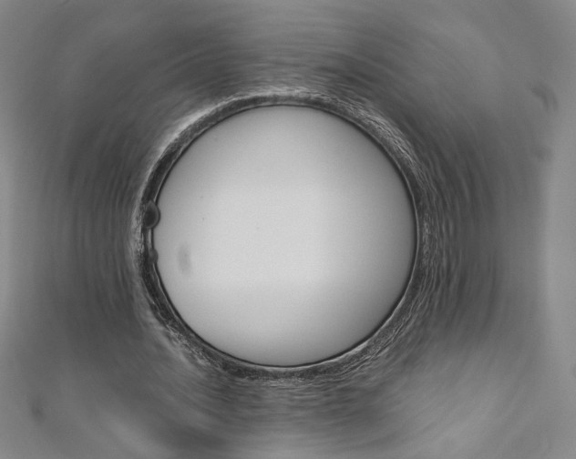 X0000110970628200906191112