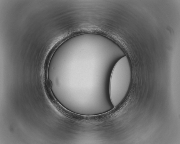 X0000110970630200906191112