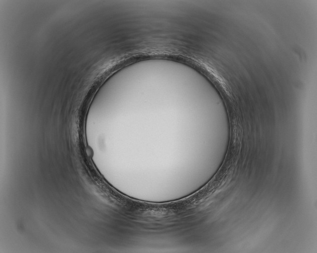 X0000110970631200906191112