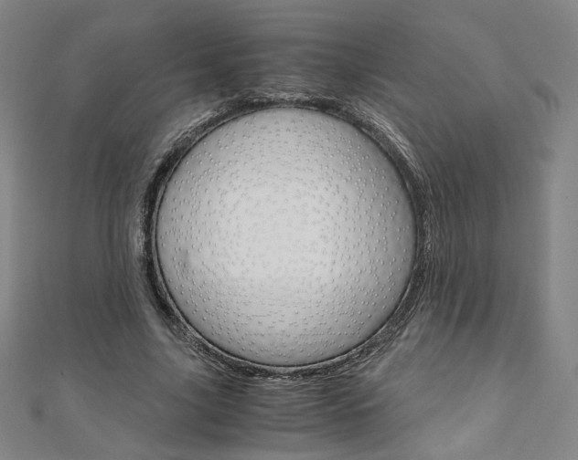 X0000110970635200906191112