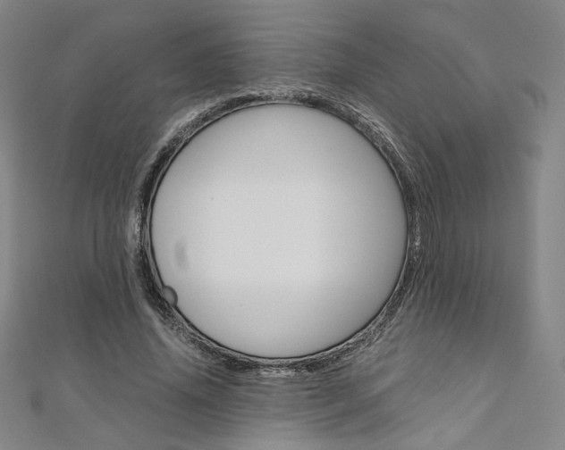 X0000110970636200906191112