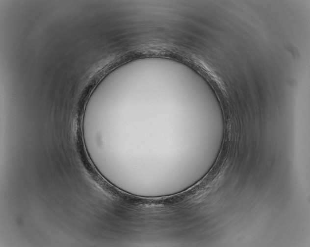 X0000110970637200906191112