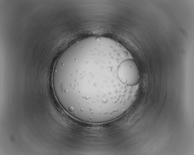 X0000110970639200906191112
