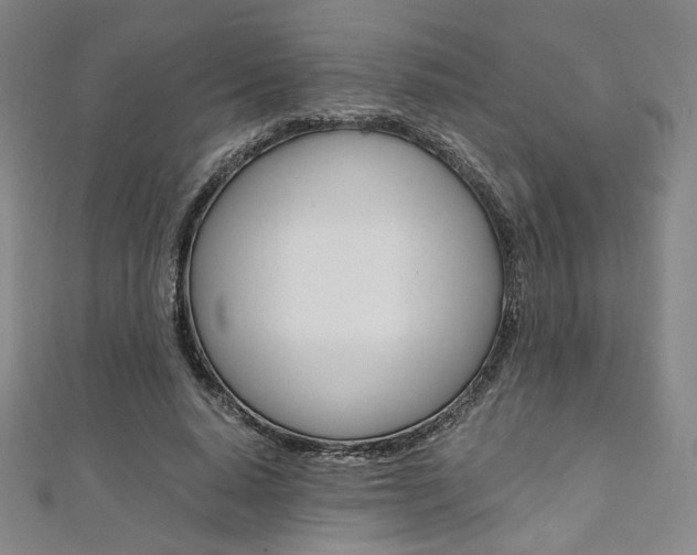 X0000110970640200906191112