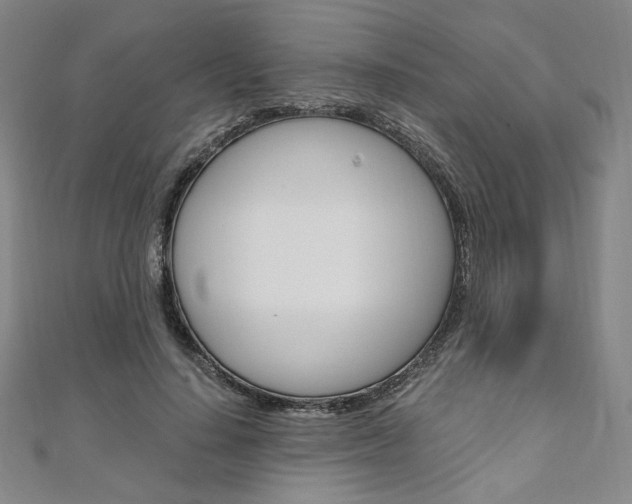 X0000110970644200906191112