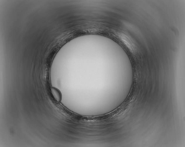 X0000110970645200906191112