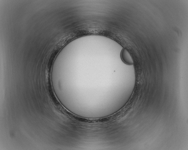 X0000110970646200906191112