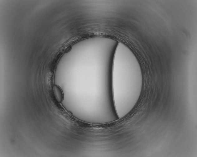 X0000110970650200906191112