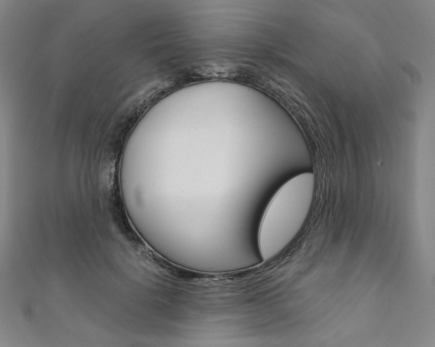 X0000110970652200906191112