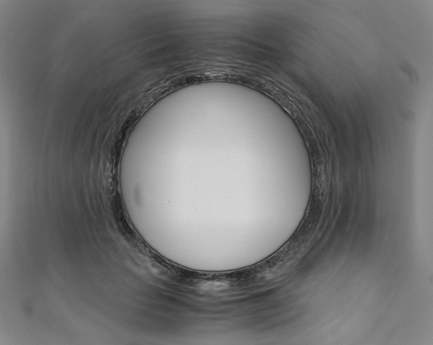 X0000110970653200906191112