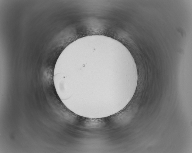 X0000110970672200906191112