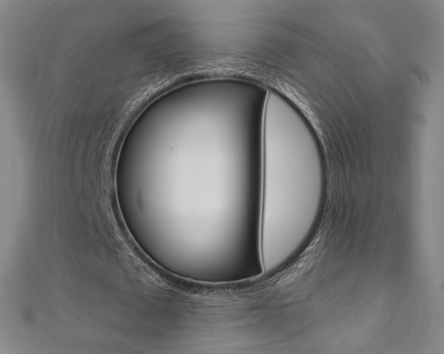 X0000110970673200906191111