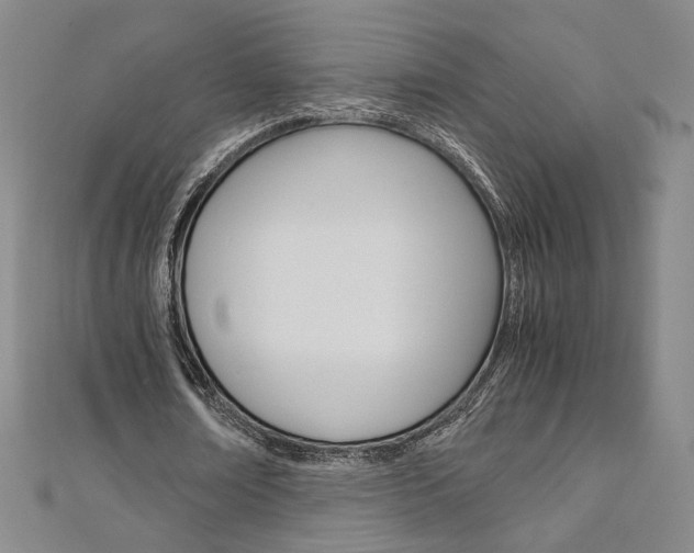 X0000110970674200906191111