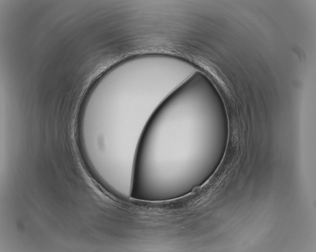 X0000110970677200906191111