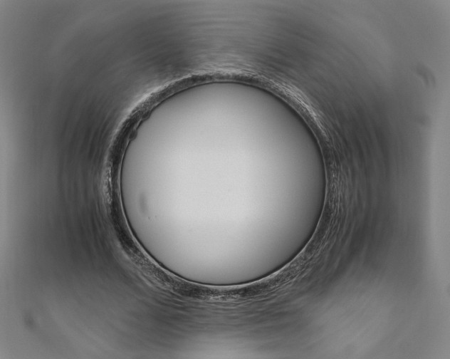 X0000110970680200906191111