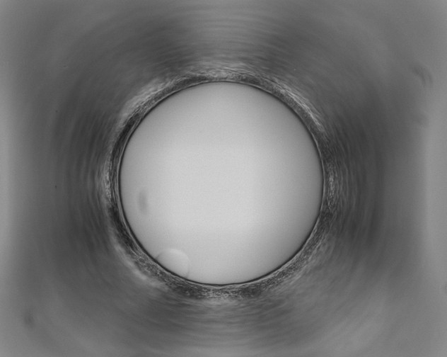 X0000110970682200906191111