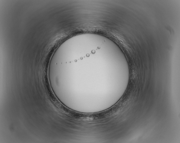 X0000110970687200906191111