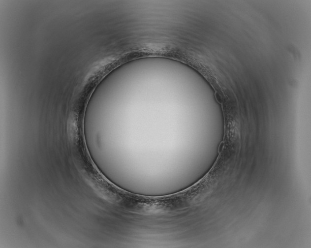 X0000110970688200906191111