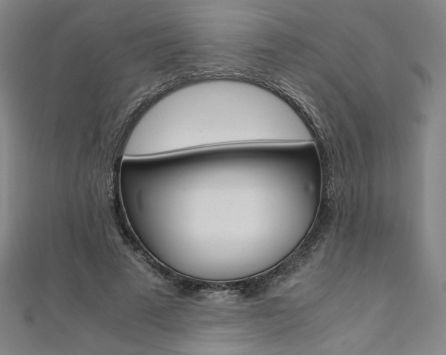 X0000110970689200906191111